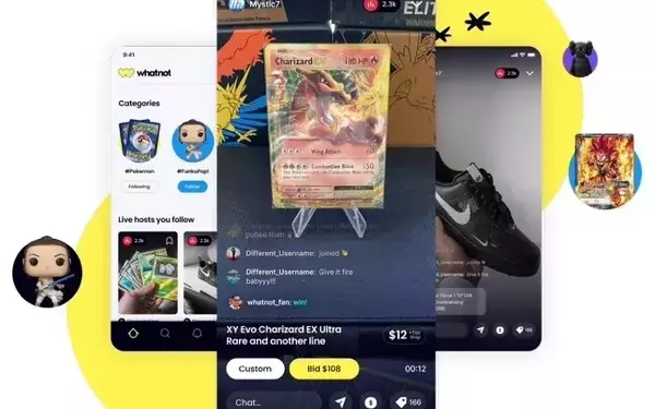Unleashing Whatnot: The Interactive Auction Destination for Collectors