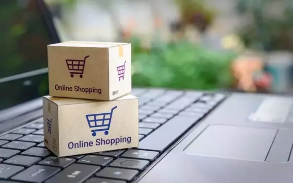 A Versatile Shopping Experience Across Platforms: How Product Variety and Pricing Differ