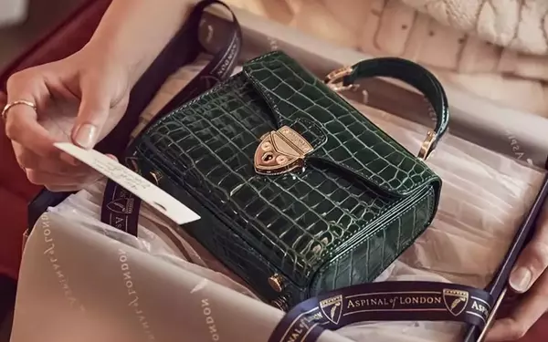 Classic vs. Trendy: Which Aspinal Handbag Should You Choose?