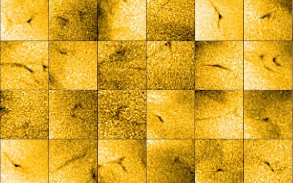 Unveiling the Secrets of Solar Jets: A Breakthrough in Understanding Solar Wind