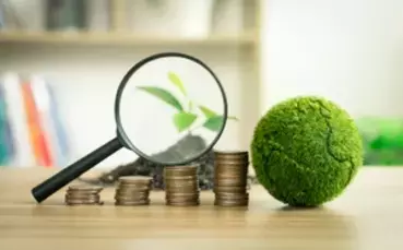 Global Green Bond Market Set for Unprecedented Growth Amidst Net Zero Transition