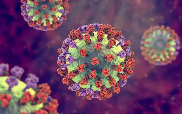 Flu Season Reaches Critical Levels: A Winter Health Crisis