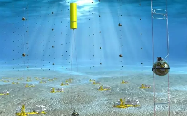 Unprecedented Discovery: High-Energy Neutrino Challenges Our Understanding of the Cosmos