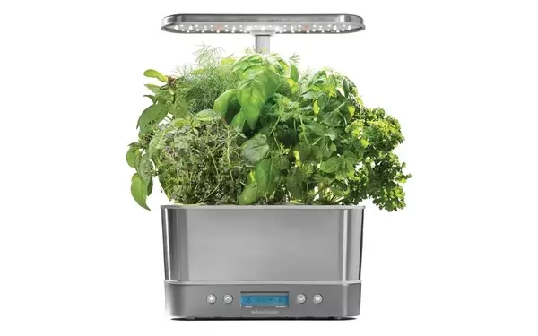 Indoor Gardening Made Simple: AeroGarden Harvest Elite Offers Unbeatable Value
