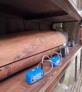 The Unveiling of Ancient Aromas: The Surprising Fragrance of Egyptian Mummies