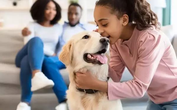 Top Picks for Dog Treats, Toys, and Hydration