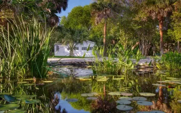 Austin's Parks and Recreation Department Unveils Ambitious 2026 Bond Program