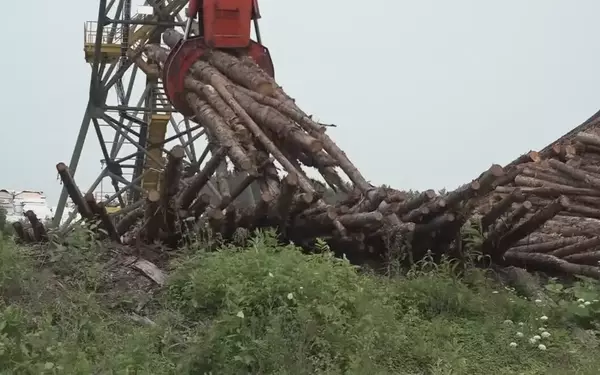 Logging Industry Ties Bind Maine and Canada Closely