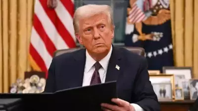 Unveiling the Impact: Trump's Executive Order on Legal Bonds
