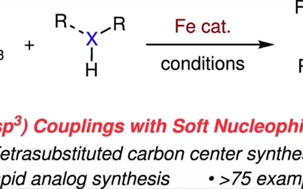 Iron-Catalyzed Cross-Coupling Reactions: A Breakthrough in C(sp3)-Heteroatom Bond Formation