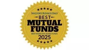 Top Municipal Bond Funds For Your Investment Portfolio In 2025