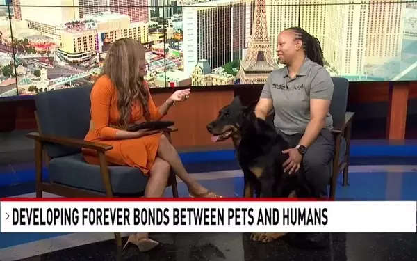Community Bonds: Strengthening Connections Between People and Their Pets
