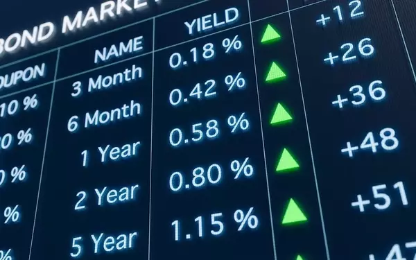 Striking the Right Balance: Portfolio Allocation Insights