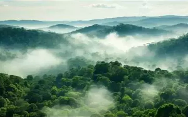Global Leaders Convene for a Virtual Dialogue on Sustainable Finance