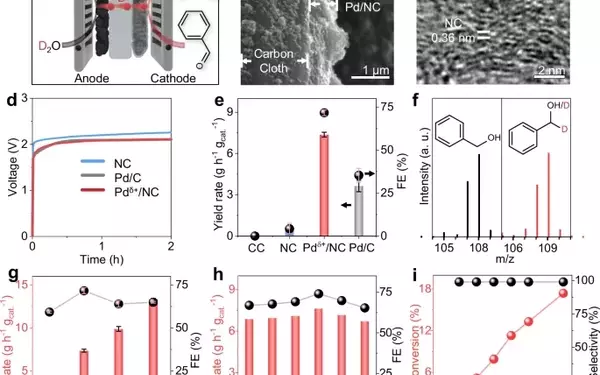 Revolutionary Electrochemical System for Solvent-Free Deuteration