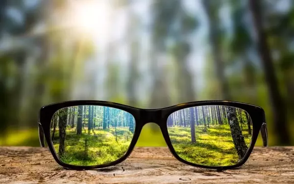 Global Sustainable Finance Surges in 2024, Reaching New Heights