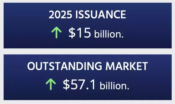 Record-Breaking Year for Catastrophe Bond Market in 2025