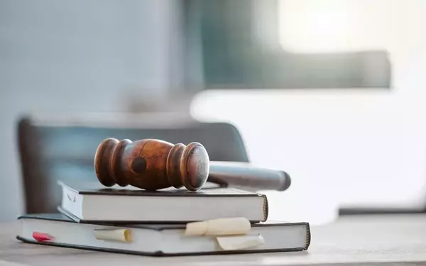 Agentic AI's Transformative Potential in the Legal Sector