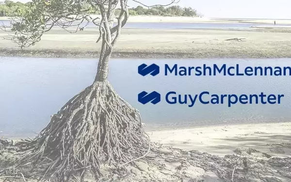 Mangrove Risk Solutions Launches Largest Private Cat Bond to Date Valued at $102.5 Million