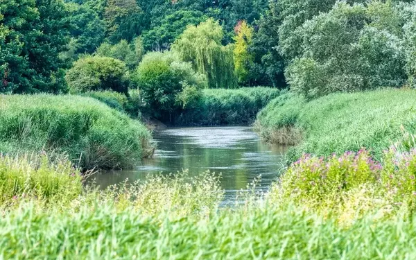 AI Revolutionizes River Monitoring for Healthier Waterways