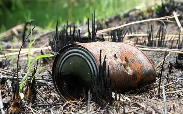CatIQ Raises Insured Loss Estimate for Jasper Wildfire to C$1.31 Billion