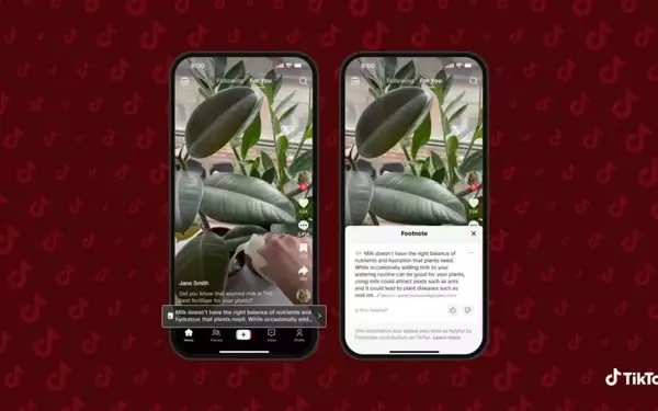 TikTok Introduces Community-Driven Fact-Checking Feature 'Footnotes' in the US