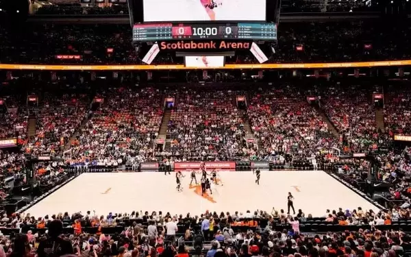 Basketball Fan Charged After Bizarre On-Court Incident