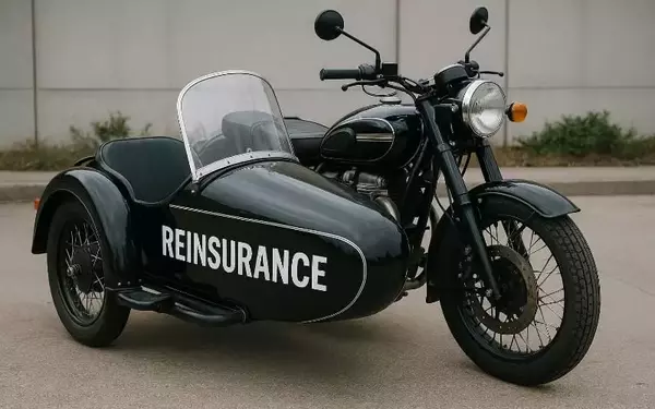 Life Re/insurers Increasingly Utilizing Sidecar Structures, Fitch Reports