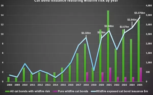 Catastrophe Bond Market Embraces Wildfire Risk Post-California Blaze