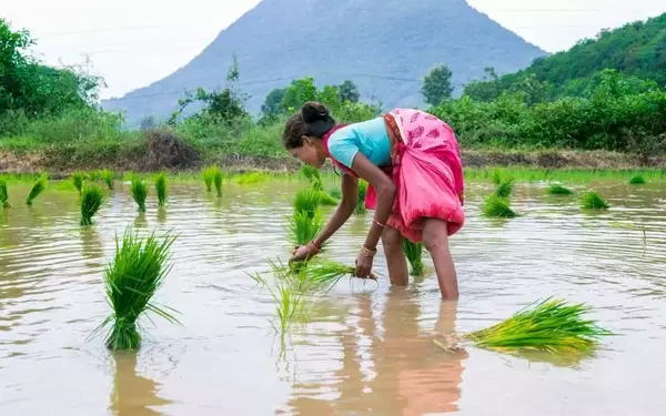 AI's Role in Sustainable Rice Farming for Methane Reduction