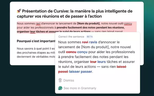 Grammarly Expands Language Support Beyond English