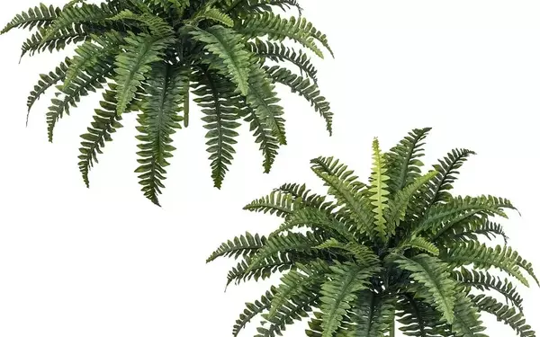 Top Picks: The Most Realistic Artificial Plants on Amazon
