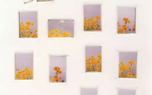 Nico Perez's 'Everything Is Nothing and Nothing Is Everything': A Photographic Journey of Connection and Truth