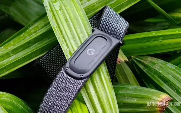 A Change of Heart: Why the Fitbit Air May Replace My WHOOP