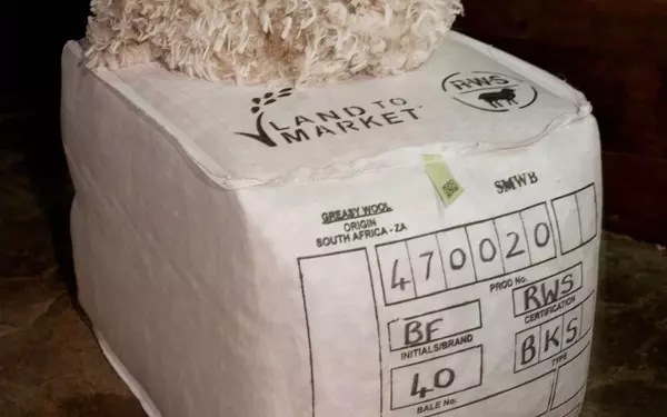 Textile Labels Under Scrutiny: A Call for Transparency in Fashion