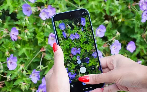 Google Pixel Protection Plan: Is It Worth It?