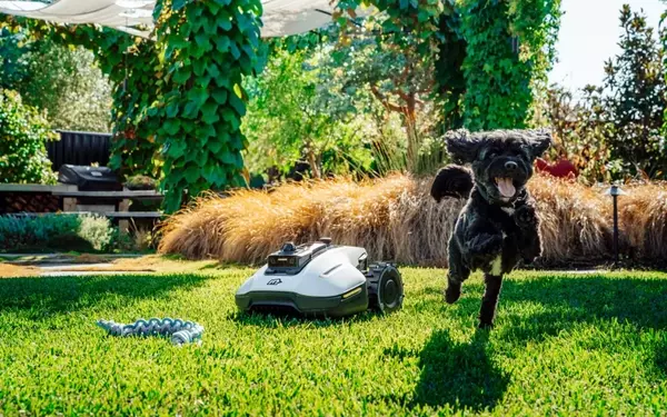 Mammotion YUKA mini 2: The Future of Lawn Care