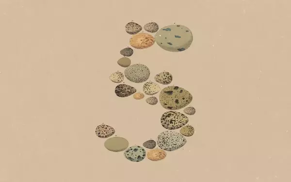 Anthropic's Claude Opus 5: Advanced AI at a Competitive Price