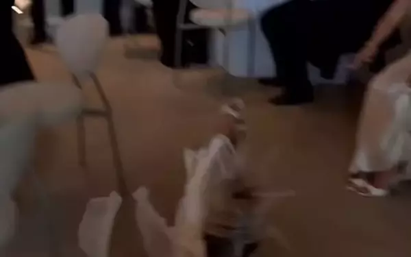 Kate Lawler's Hilarious Wedding Tumble Goes Viral