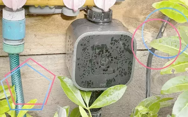 Smart Watering Solutions for Your Garden During Hosepipe Bans
