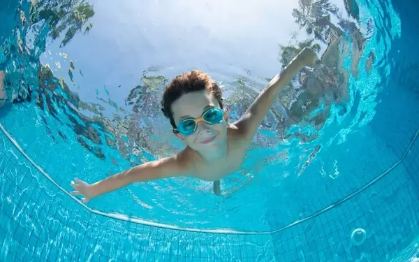 American States Water: A Steady Dividend Performer for Income Investors