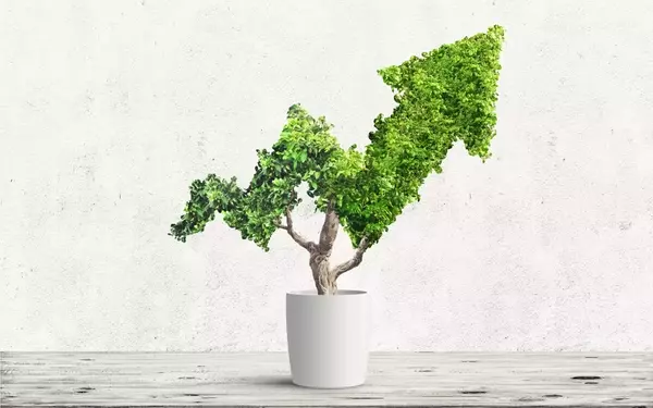 Vanguard Momentum ETF Outperforms S&P 500 with Dynamic Strategy