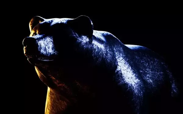 Bitcoin ETF Faces Closure, but Long-Term Potential Remains