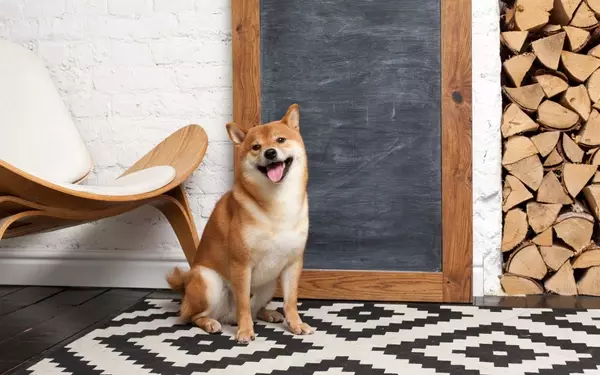 The Trajectory of Dogecoin: Unpacking Its Future to $1 by 2026