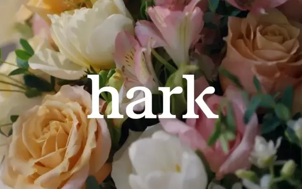 Hark Unveils Advanced Browser Agent for Task Automation