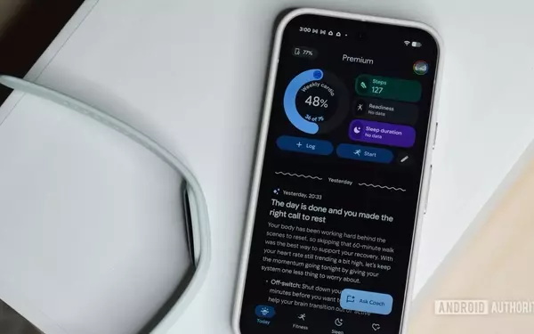 Google Health: A Two-Month Review of Its Strengths and Flaws
