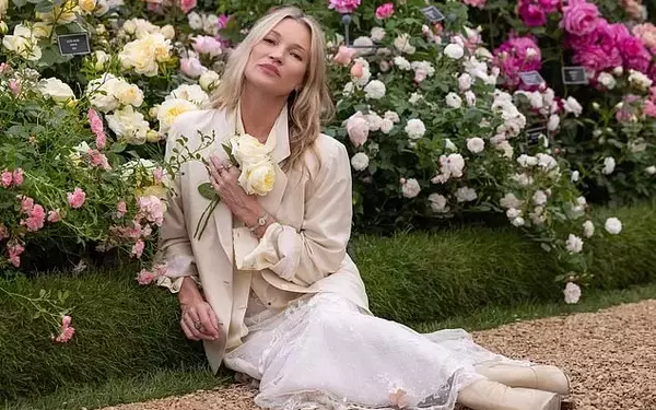 Celebrity Financial Woes and Lifestyle Updates