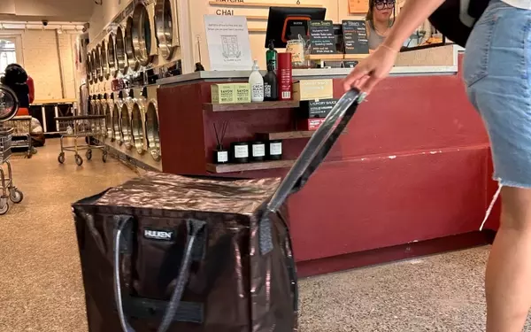 The Rise of the Hulken Rolling Tote: New York's New 'It' Bag for Everyday Life