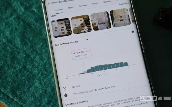 Google Maps Popular Times Feature Disappears for Some Users