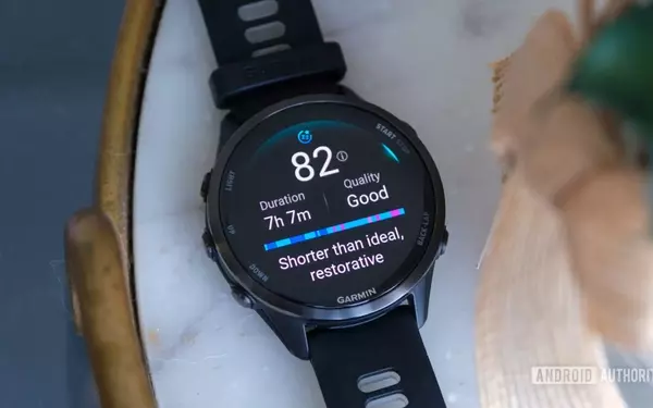 Wearable Market Shifts: Garmin Dominates Premium Segment Amidst Declining Shipments